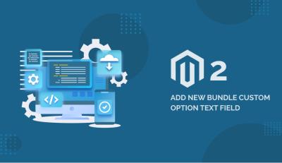 Magento 2 add new bundle custom option text field